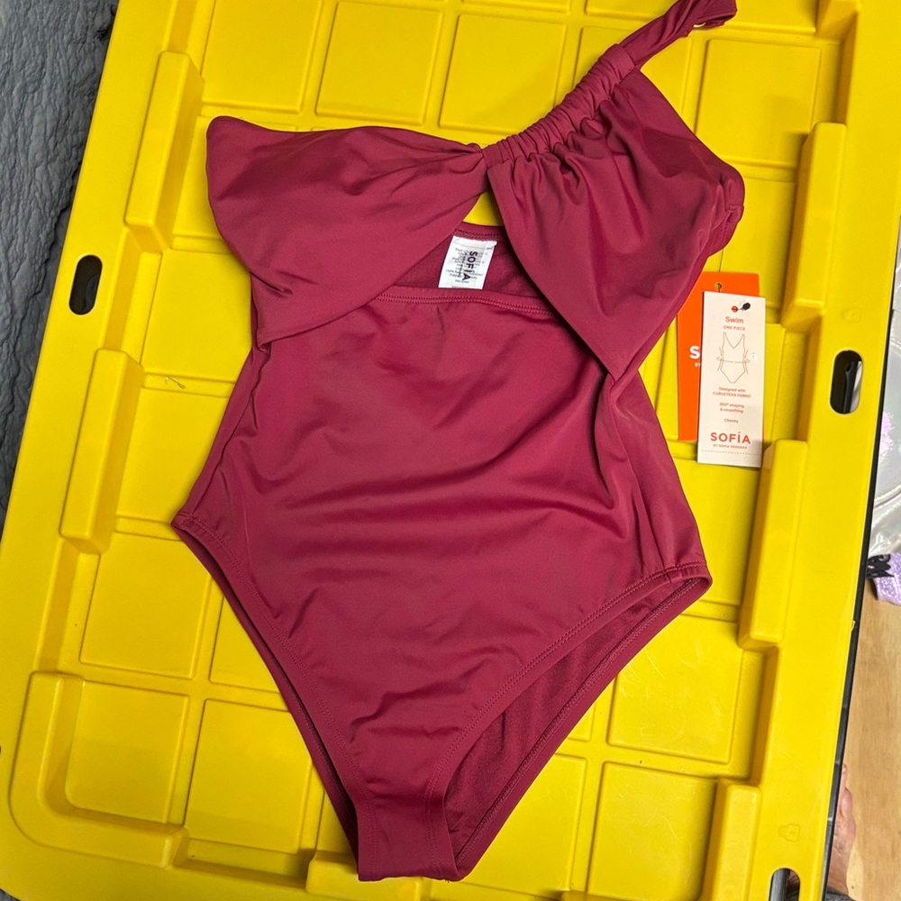 SOFIA One-Shoulder One-Piece Swimsuit in Raspberry Wine
